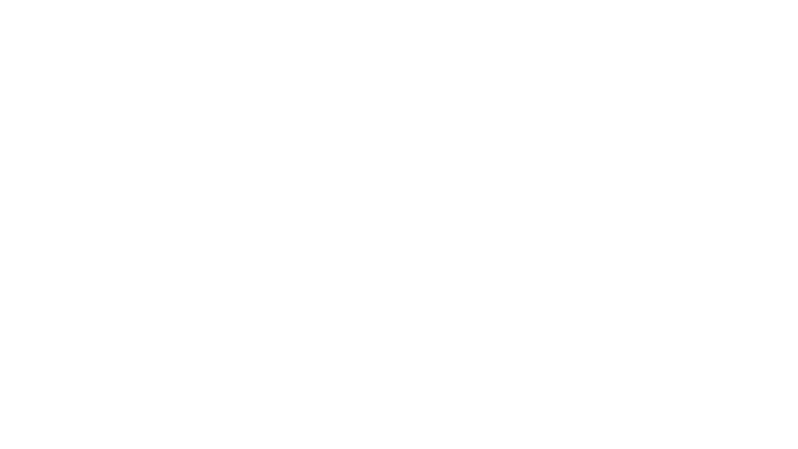 CV — César Vera